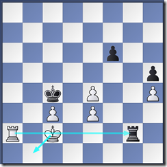 Position after black played 54..Rg2+