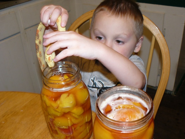 [canning peaches Abbi 1st day of HS 007[2].jpg]