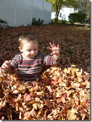 caelun in the leaves 023