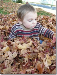 caelun in the leaves 113
