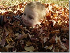 caelun in the leaves 121