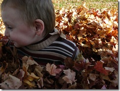 caelun in the leaves 123