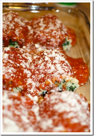 spinach lasagna6