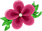 flower%20%28157%29.png