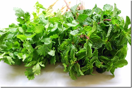 Mint and coriander