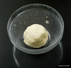 Paneer dough Paneer dough