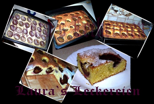 [praji cu prune[5].jpg]