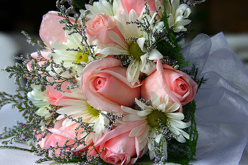 flowers_0119_bg.jpg
