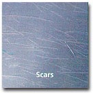 [scars3.jpg]