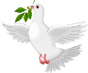 animated-dove