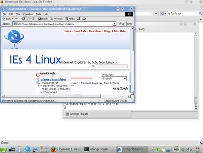 Microsoft Internet Explorer on OpenSuSe 11.1
