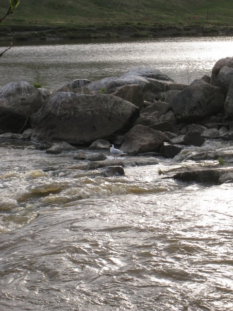 [IMG_2320-733886.JPG]