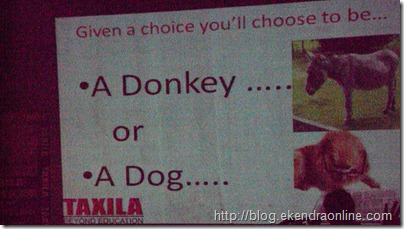 A donkey or a Dog, what do you want to be?