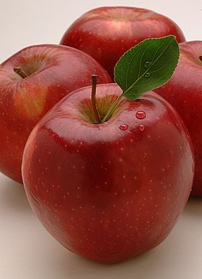 LAMINAS ALIMENTOS OTOÑALES PARA IMPRIMIR