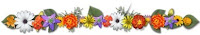 barra20flores20p.jpg