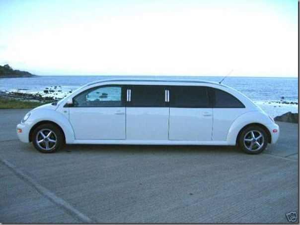 Fusca limousine (5)