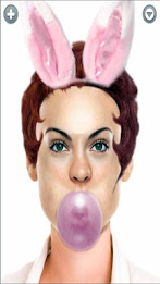 Funny Faces poster 8