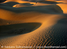 The desert beauty of Rajasthan
