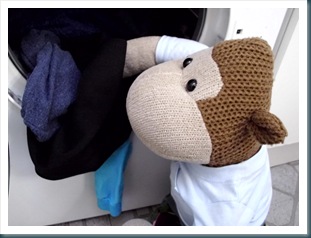 Monkey Loading the Tumble Dryer