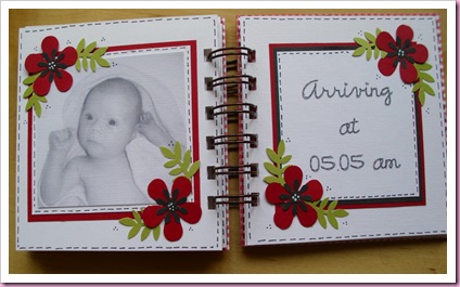 Gingham Mini Baby Book 5