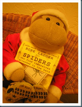 monkey with spider ladder