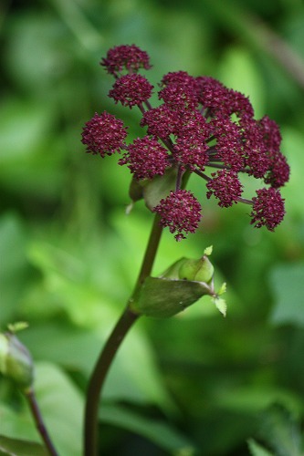 フツウの生活 10年09月