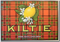 vintage-stickers-kiltie-brand-corona-foothill-lemon-company1