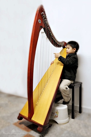[Josh-Harp5.jpg]