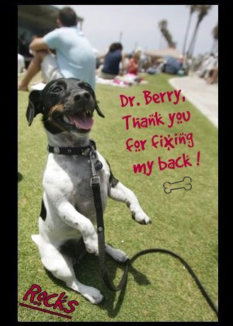 rocksDrBerryThankyou-1.jpg