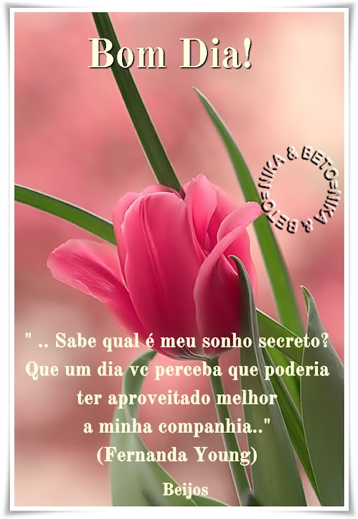 Sign in Bom dia flor para enviar aos amigos compartilhar face código 2902