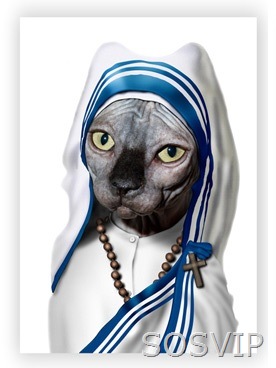 [Mother Teresa [3].jpg]