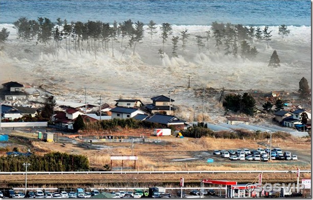 Tsunami Japao Terremoto.jpg (4)