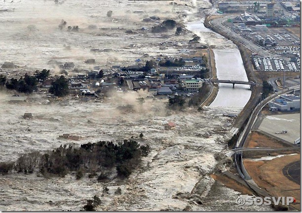 Tsunami Japao Terremoto.jpg (9)