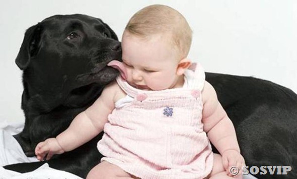 [Cachorro-bab-a-melhor-bab-babysitter[31].jpg]