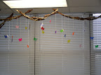 DSCN3435.JPG