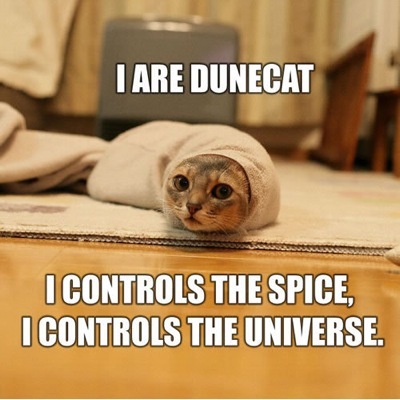 [cat-dunecat-lg[2].jpg]