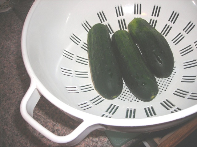 [Pickles 001[8].jpg]