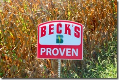 becks seed 2