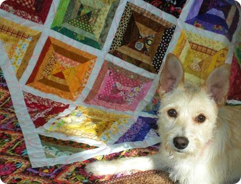 willow and quilt