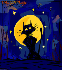 cat moonlight light