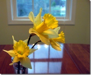 daffodils_inside
