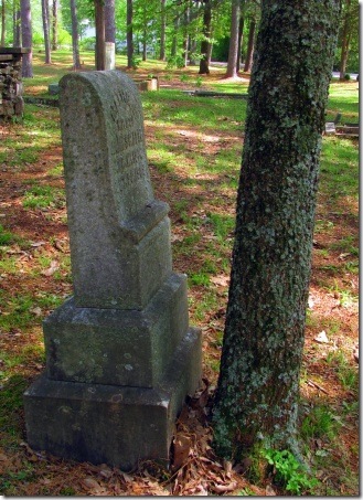 tomb and tree