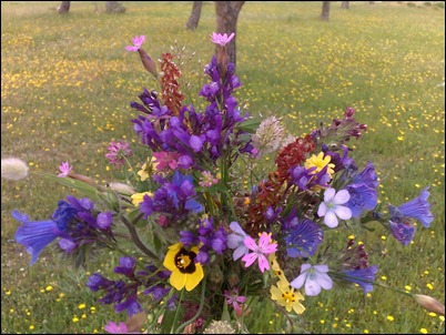 bouquet of wild flowers