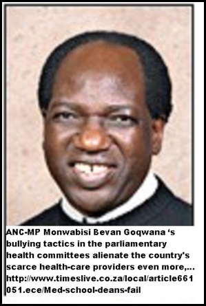 Goqwana Monwabisi Bevan chair health committee bullying tactics