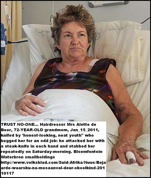 DeBeer_ALETTE 72 STABBED WATERBRON AH BLOEM JAN172011 BY YOUTH SHE GAVE A JOB VOLKSBLAD