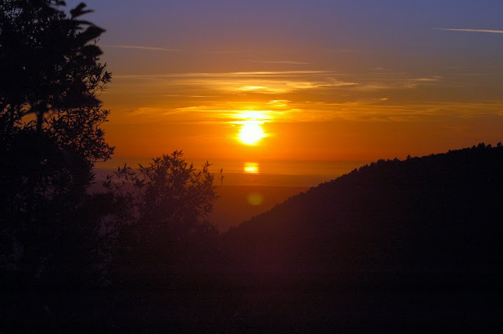 DSC_0111.JPG