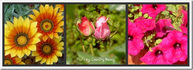 fiori collage