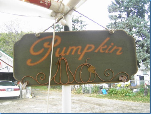 Pumpkin Farm Oct 2009 026
