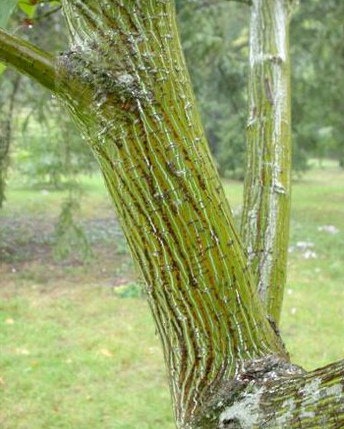 [Fullscreen capture 03122010 104312-1[3].jpg]