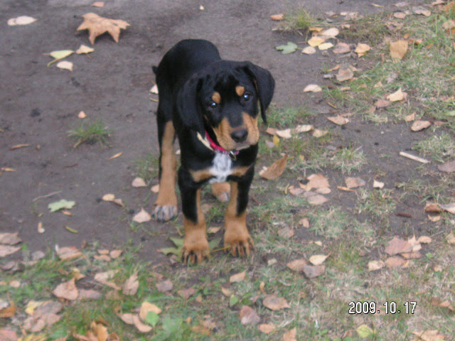 PICT0530.JPG